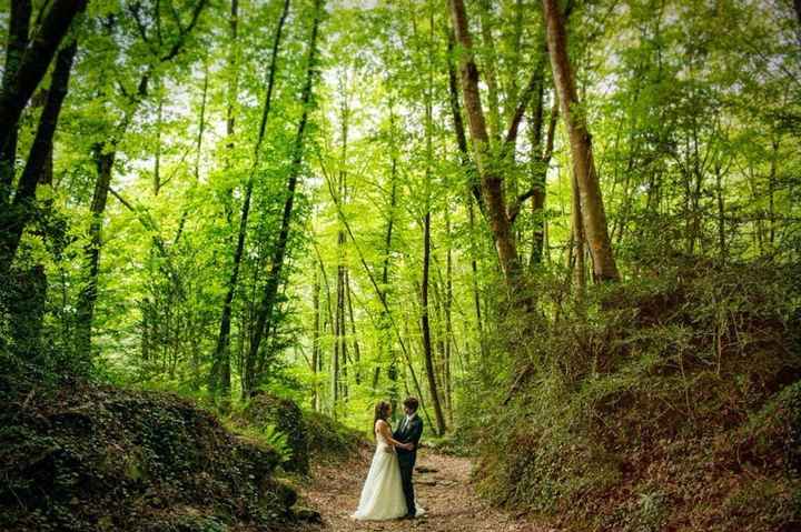 bosque