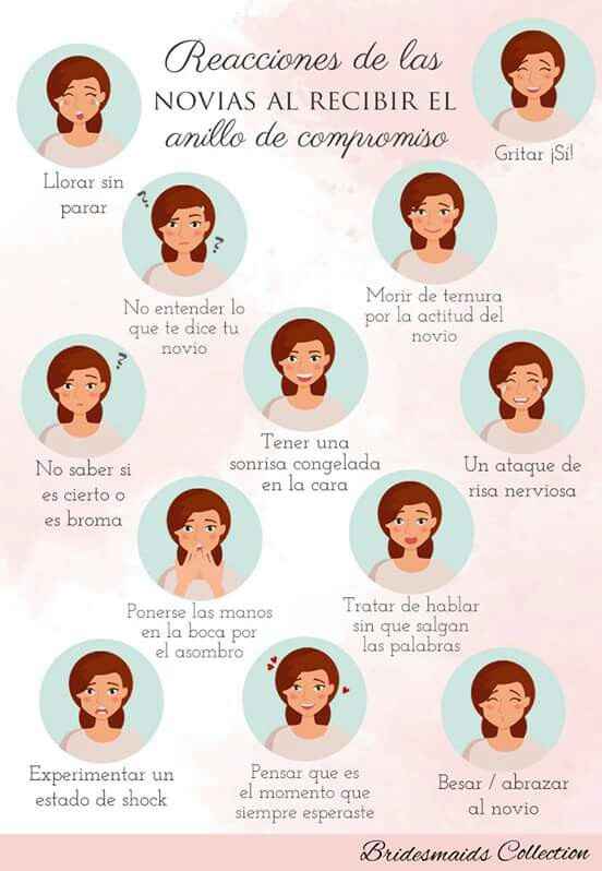  Reaccion a la proposición - 1