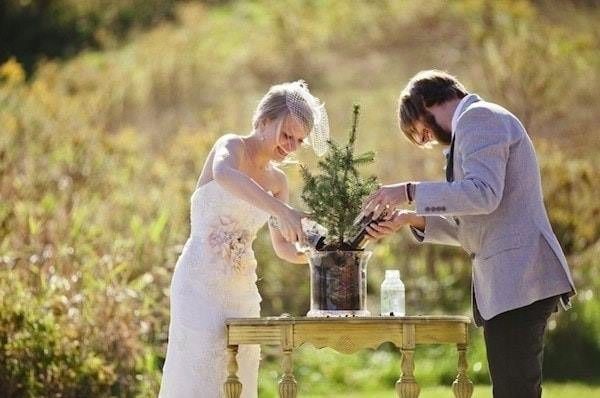 siembra un arbol 