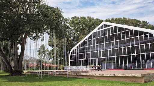 Sorpresa, nuestro jardín!!! :) - 1