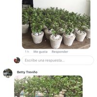  Ideas para regalar en mi despedida!!! - 1