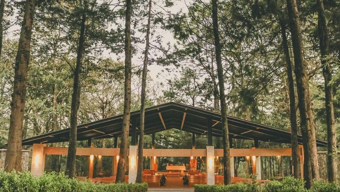 Ayuda, boda en bosque 1