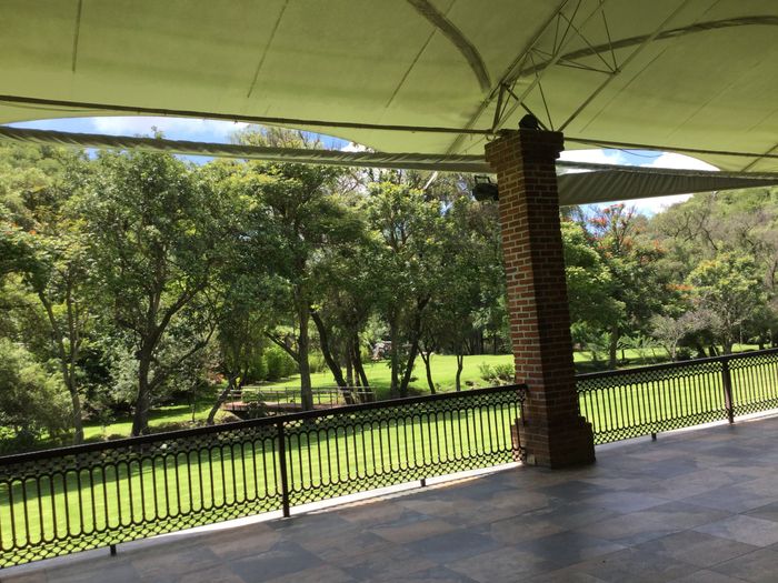 Scouting de jardines para boda 👀 - 1