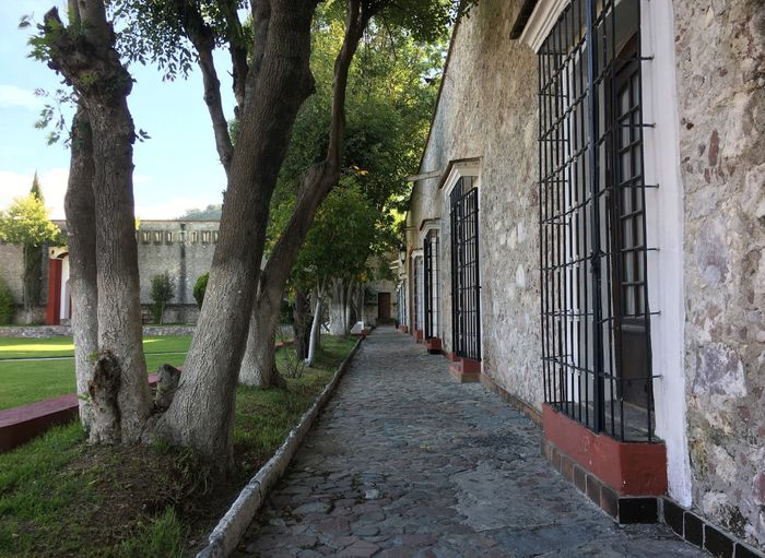 Sesión de fotos en Puebla 3