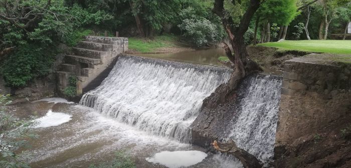 Sesión de fotos en Puebla 8