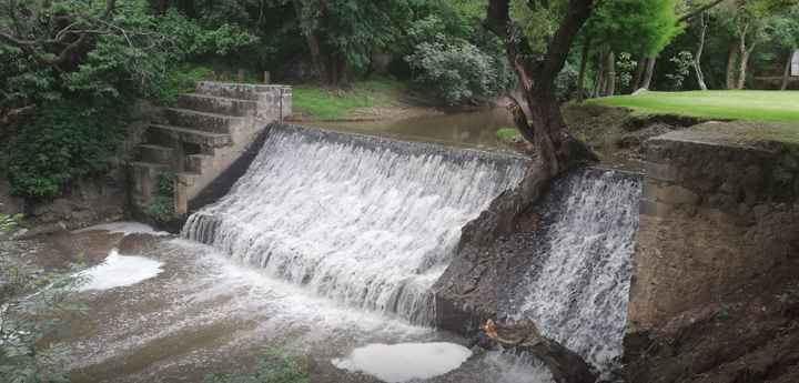 Sesión de fotos en Puebla - 7