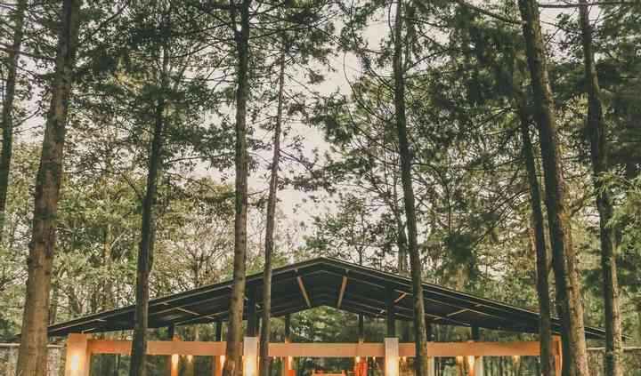 Boda en el bosque - 1