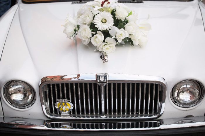 El Jaguar que nos llevó