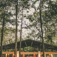 Boda en el bosque - 1