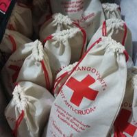 Mis kit anti-cruda a tan solo unas horas para 7 dias del gran dia esperado!!!!!! - 1