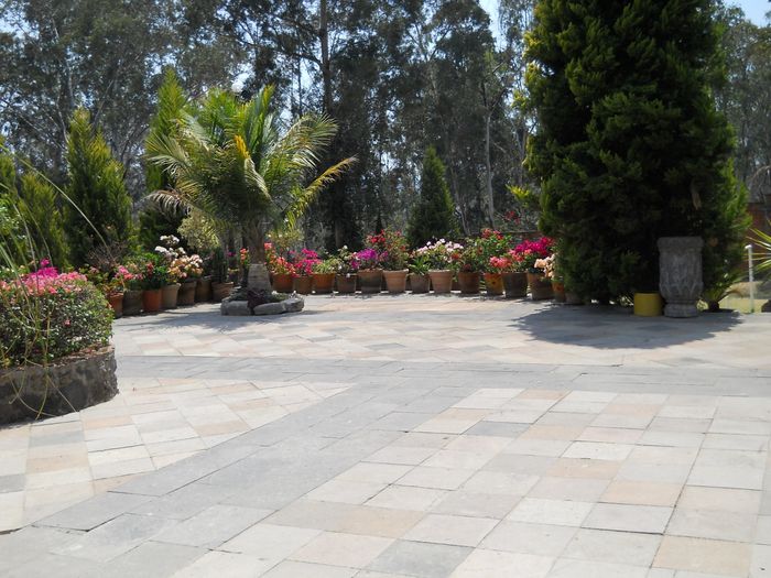 El Jardín