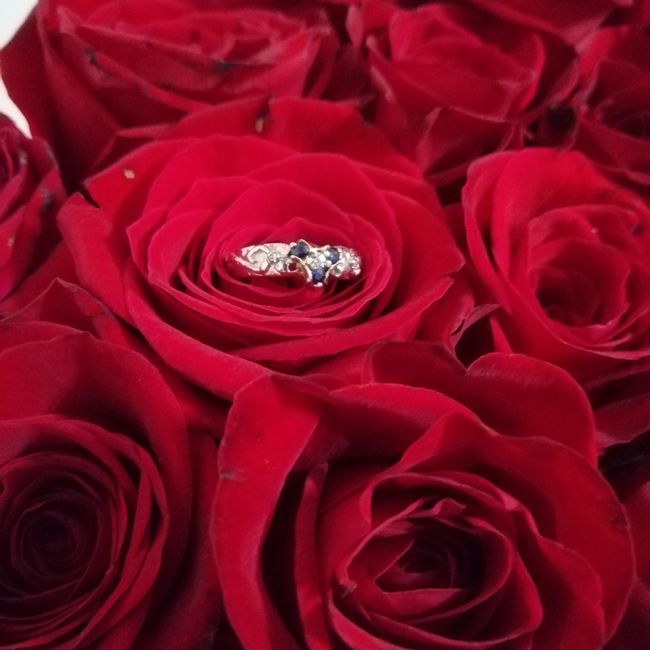 Mi anillo de compromiso, Karina 1