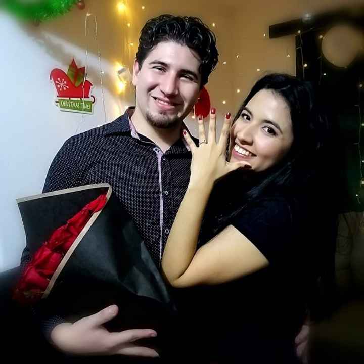 Mi anillo de compromiso, Karina - 2