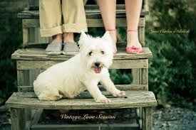 Elección de la sesión fotográfica y que artículos llevar para complementarla - 10