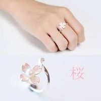anillo