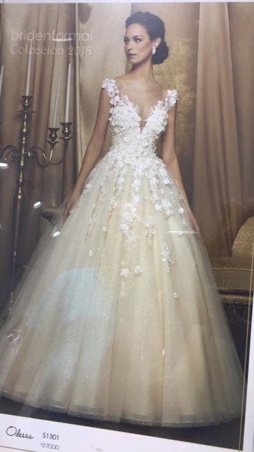 Escote de aguja,  ¿chido👍 o chafa👎? 1