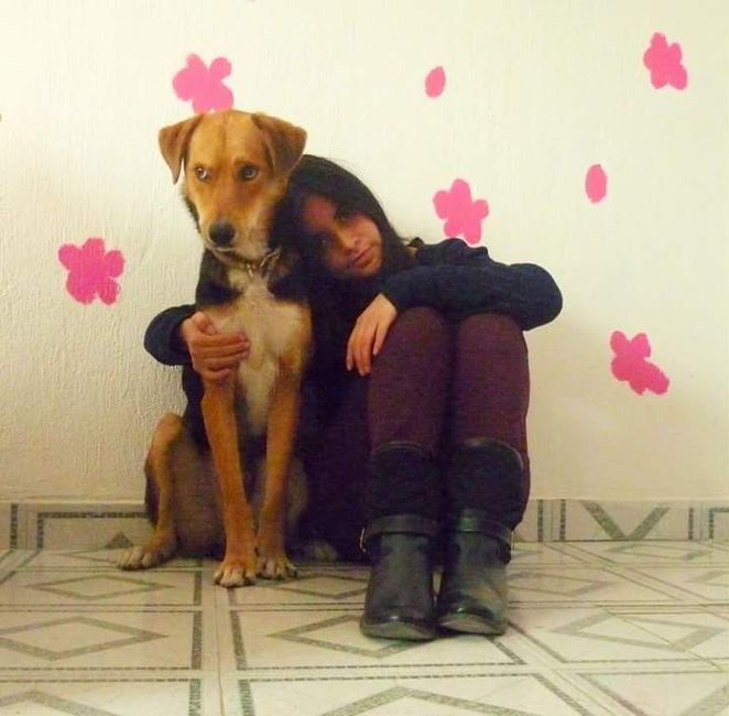 ¿dejarán alguna mascota con sus papás cuando se casen? - 3