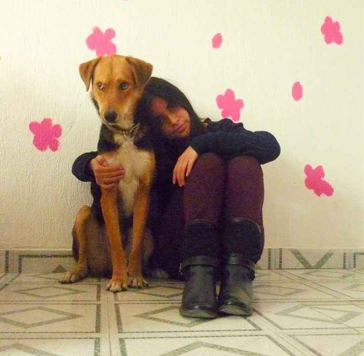 ¿dejarán alguna mascota con sus papás cuando se casen? - 3