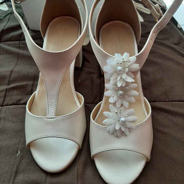 Zapatos a un bajo costo y reutilizables - 1