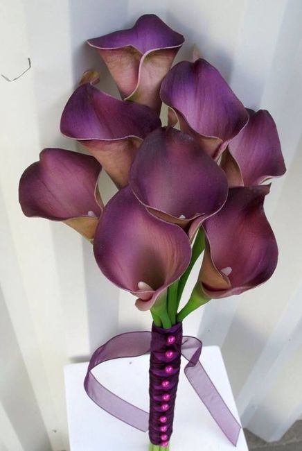 El club de la novia morado! - 1
