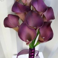 El club de la novia morado! - 1