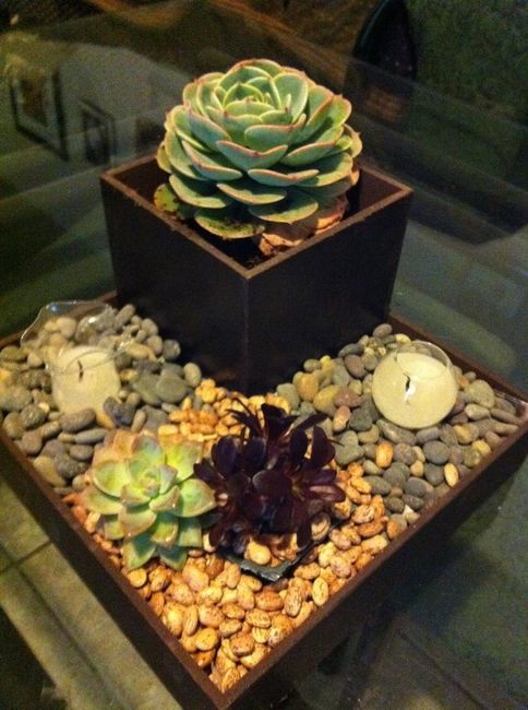 Suculentas para boda - 1