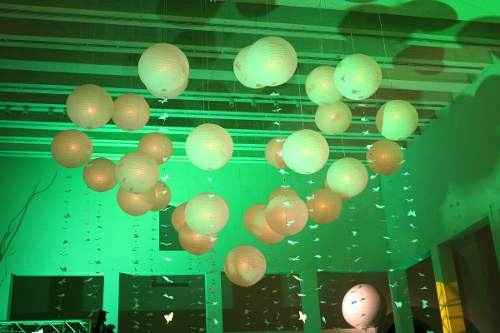 lamparas y mariposas