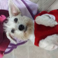 La foto de tu mascota! - 1