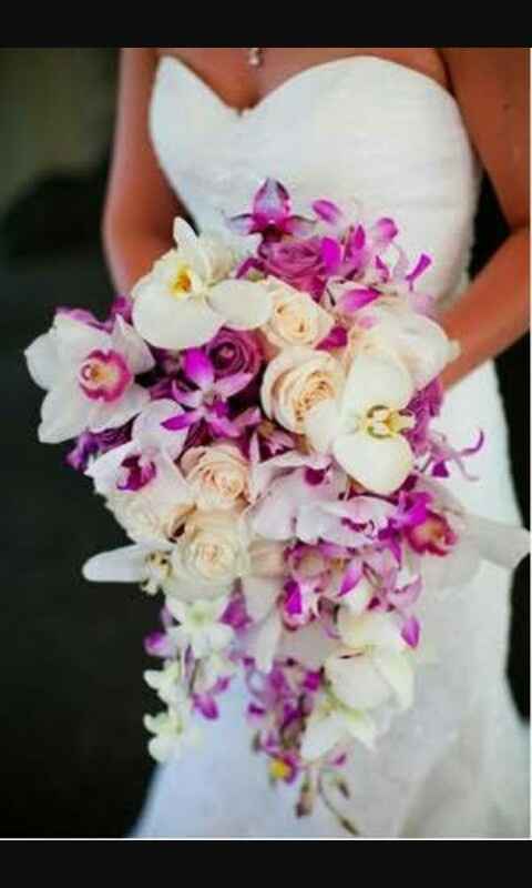 Eligiendo mi ramo natural - 1