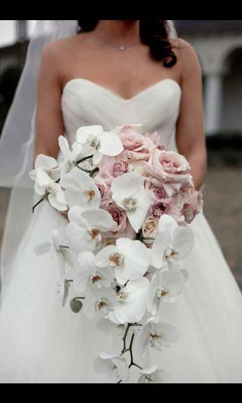 Eligiendo mi ramo natural - 3