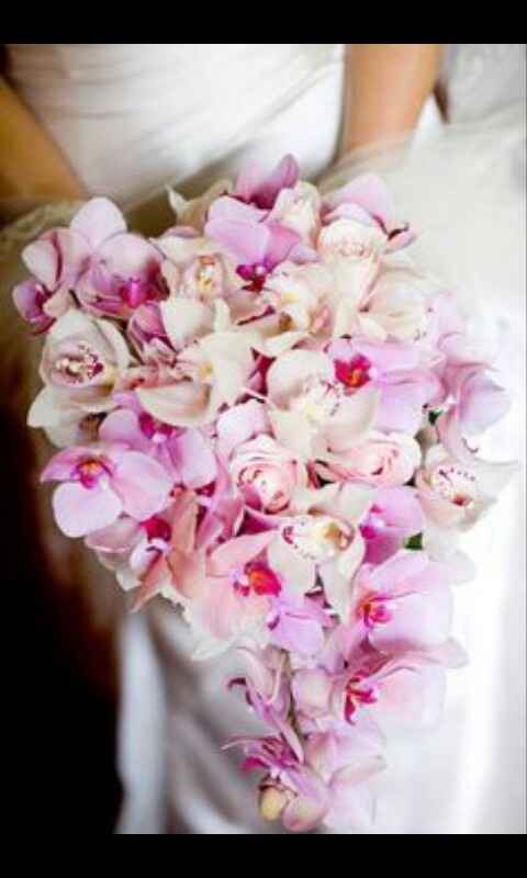 Eligiendo mi ramo natural - 4