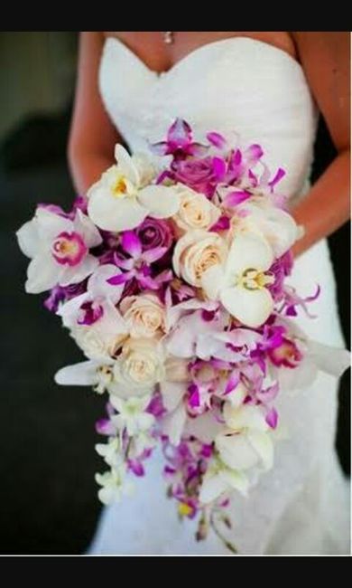 Eligiendo mi ramo natural - 1