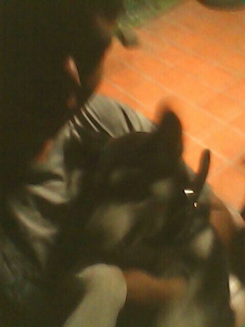 Hermoso regalo...mi peludo fiel!! - 3