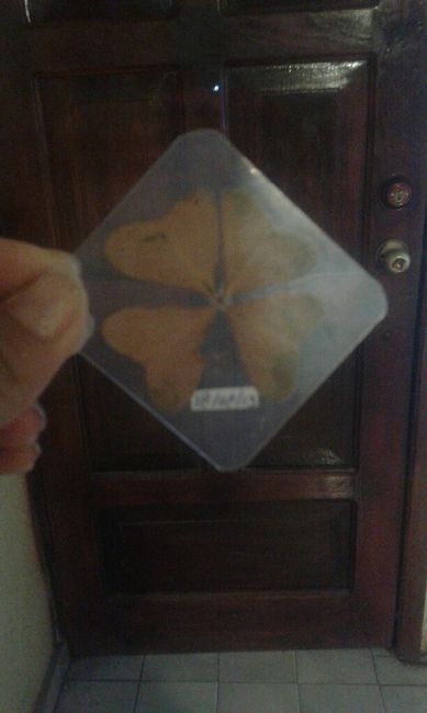 Mi prometido fue una cita a ciegas!! - 2