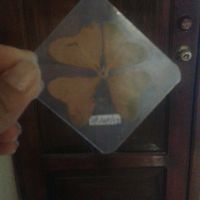 Mi prometido fue una cita a ciegas!! - 2