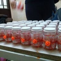 Recuerdos diy - 2