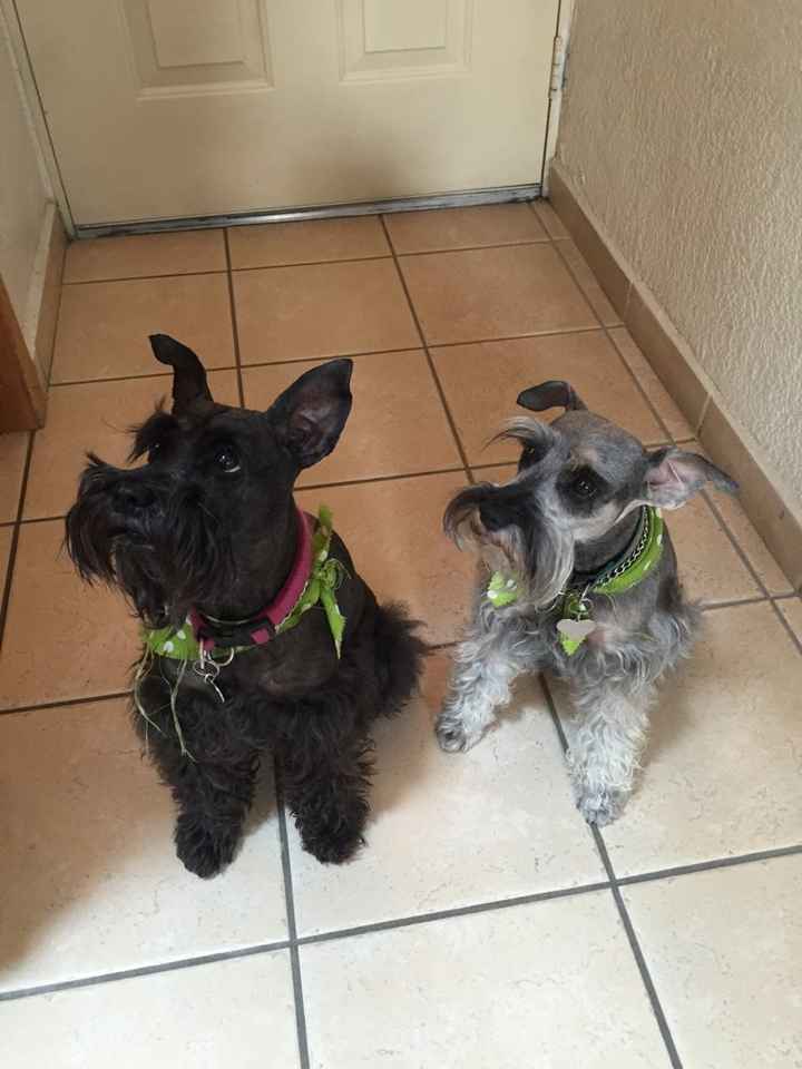 Comparte tu foto - 1