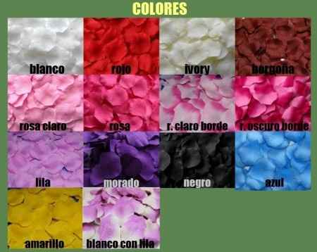 Que color elegir?