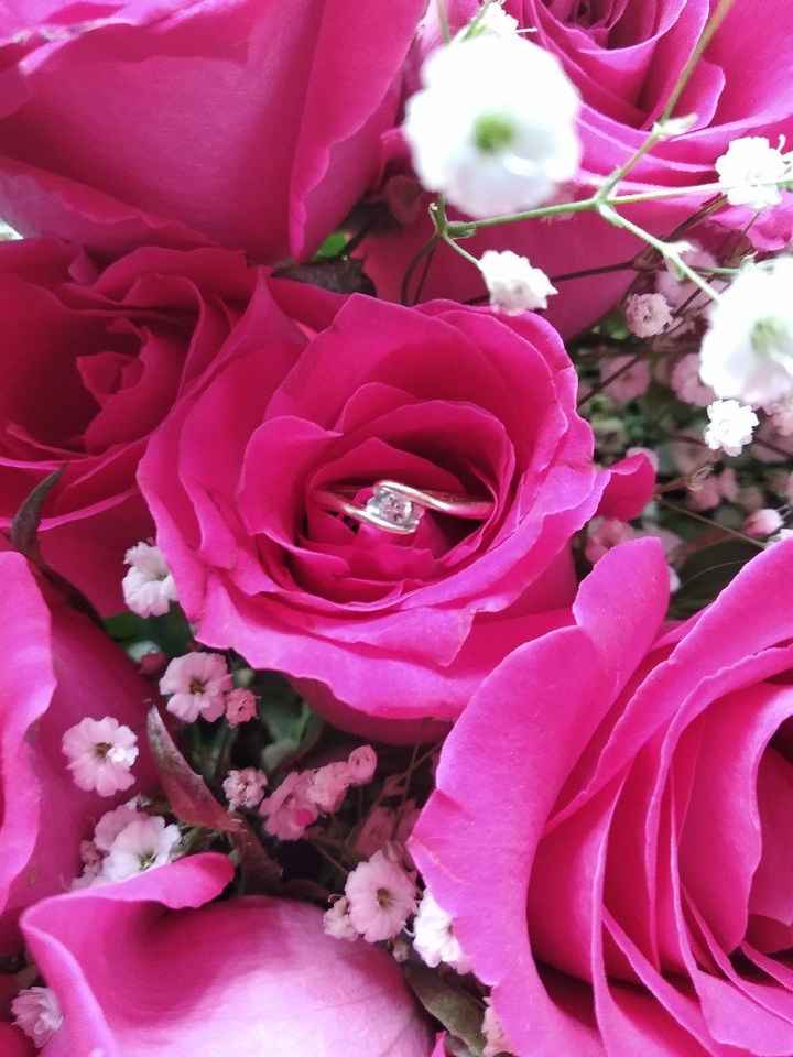 "mi sorpresa romántica Areli Paredes" - 2