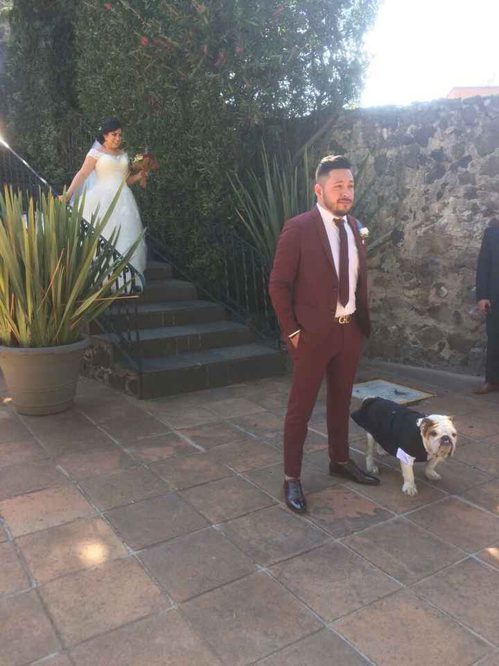  Mi invitado más especial 🐶 - 4