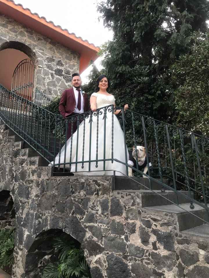  Mi invitado más especial 🐶 - 7