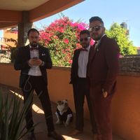  Mi invitado más especial 🐶 - 3