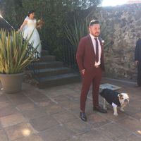  Mi invitado más especial 🐶 - 4