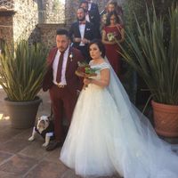  Mi invitado más especial 🐶 - 5