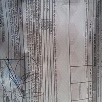 Brides, ¿dónde compraron sus argollas? - 4