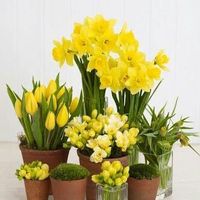 Flores para la misa y salon - 1