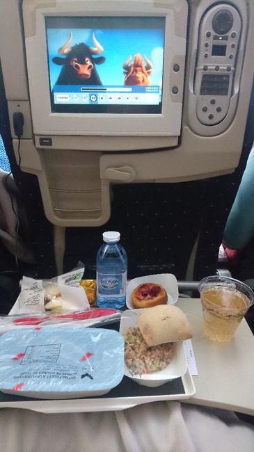 Avión Madrid - México Comida