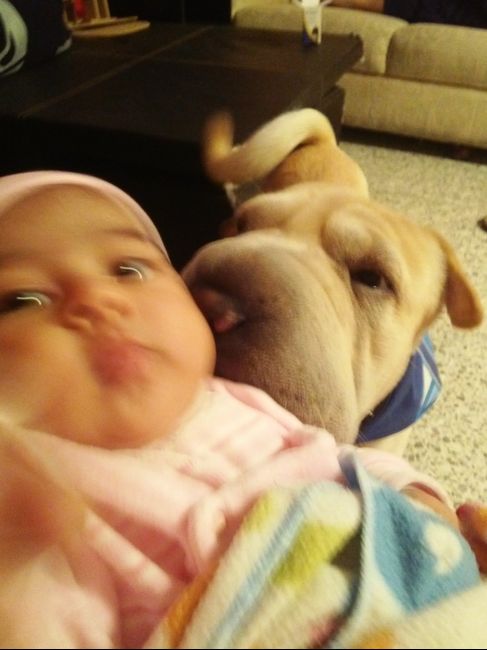 La foto de tu mascota! - 1