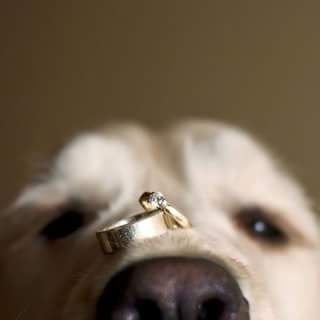 Tu mascota el dia de tu boda - 7