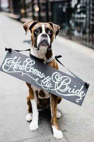 Letrero de entrada con tu mascota - 1